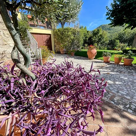 Luxurious Umbrian Retreat For 10 With Private Terrace And Pool Holiday home Torrecola