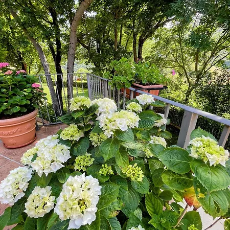 Holiday home Luxurious Umbrian Retreat For 10 With Private Terrace And Pool Torrecola