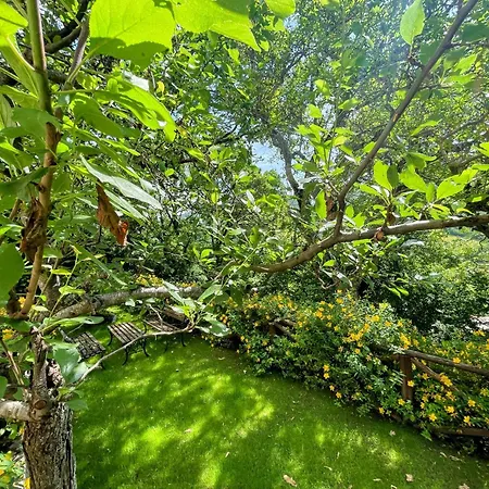בית נופש Luxurious Umbrian Retreat For 10 With Private Terrace And Pool