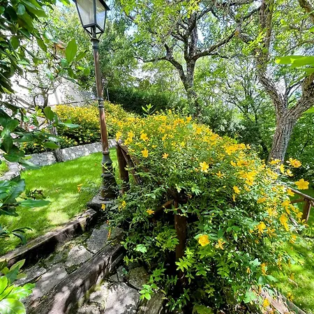 Luxurious Umbrian Retreat For 10 With Private Terrace And Pool 度假居 Torrecola