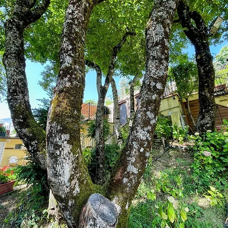 בית נופש Luxurious Umbrian Retreat For 10 With Private Terrace And Pool *