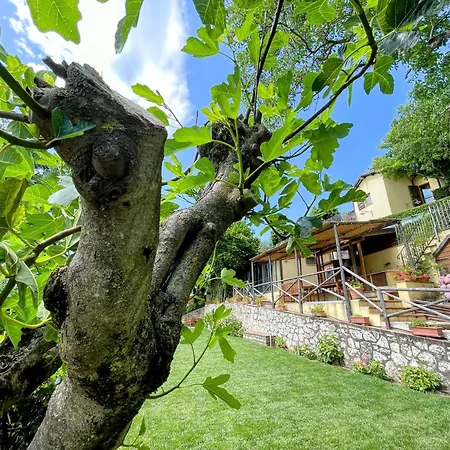 Holiday home Luxurious Umbrian Retreat For 10 With Private Terrace And Pool *