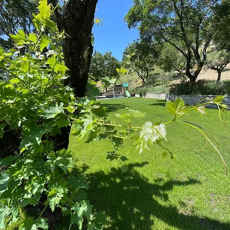 Luxurious Umbrian Retreat For 10 With Private Terrace And Pool Holiday home Torrecola