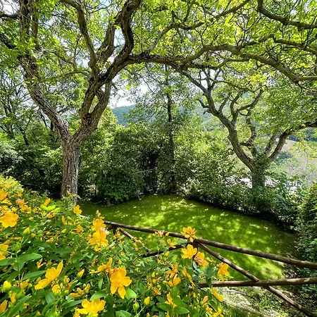 Luxurious Umbrian Retreat For 10 With Private Terrace And Pool *