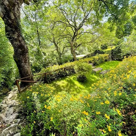 בית נופש Luxurious Umbrian Retreat For 10 With Private Terrace And Pool