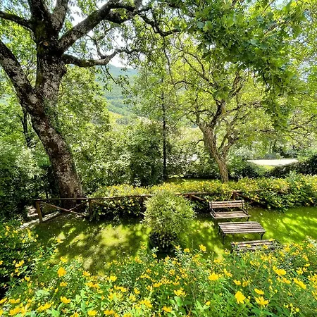 בית נופש Luxurious Umbrian Retreat For 10 With Private Terrace And Pool *