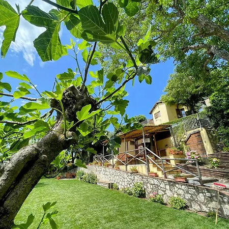 Luxurious Umbrian Retreat For 10 With Private Terrace And Pool *