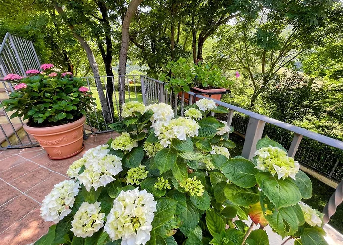 Hébergement de vacances Luxurious Umbrian Retreat For 10 With Private Terrace And Pool Torrecola