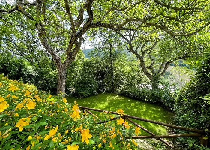 Luxurious Umbrian Retreat For 10 With Private Terrace And Pool *