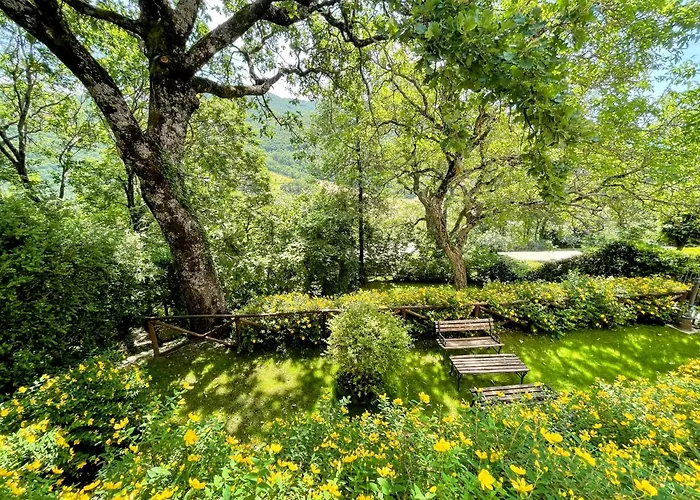 Hébergement de vacances Luxurious Umbrian Retreat For 10 With Private Terrace And Pool *